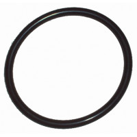 Кольцо (AF199100395) поршневое диаметр 160 мм для Тестоделителя Bongard DVP 6